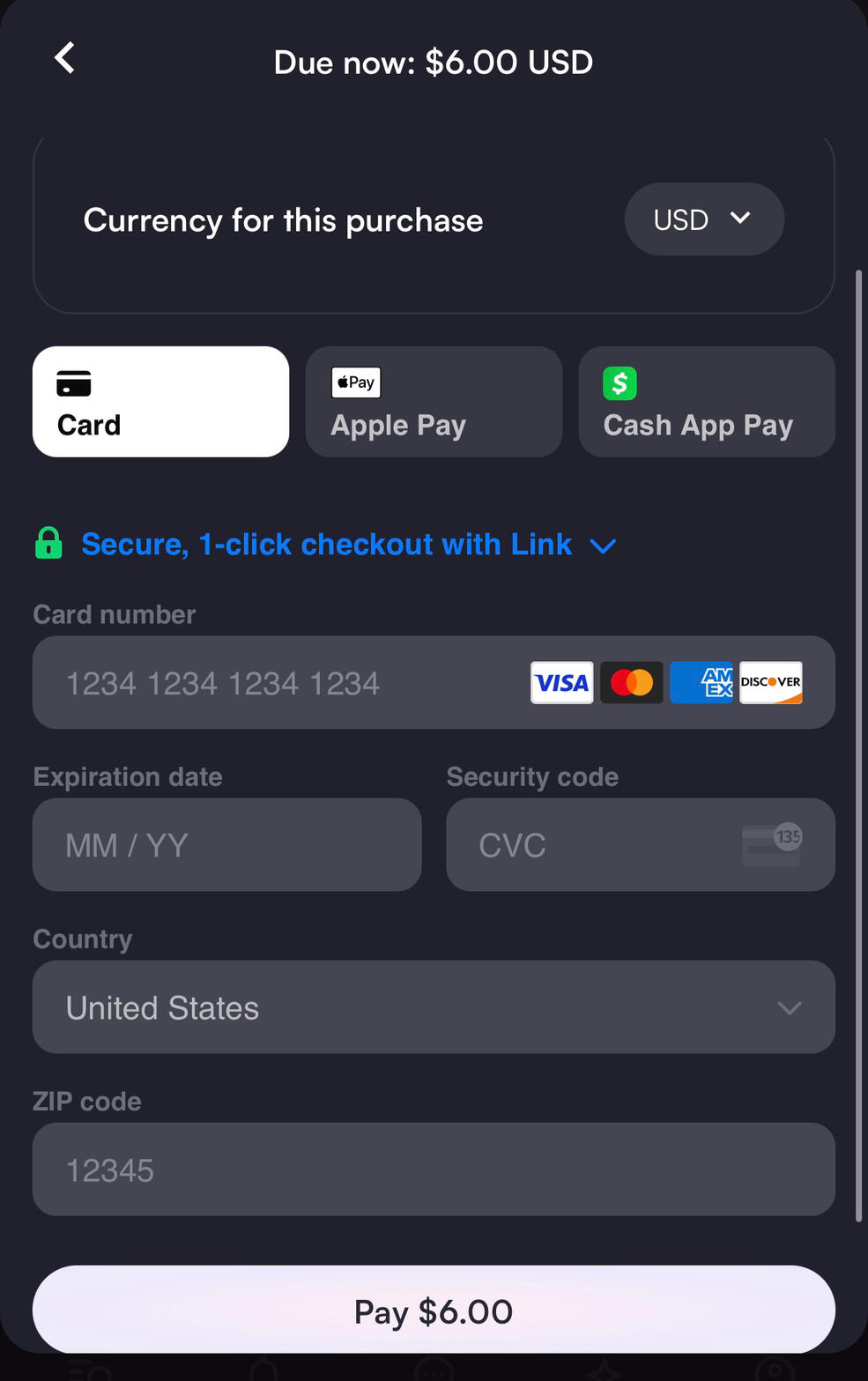 payment interface!